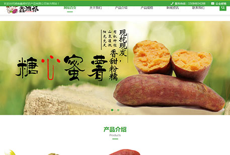 湖南鑫湘祁農產品有限公司（自適應）